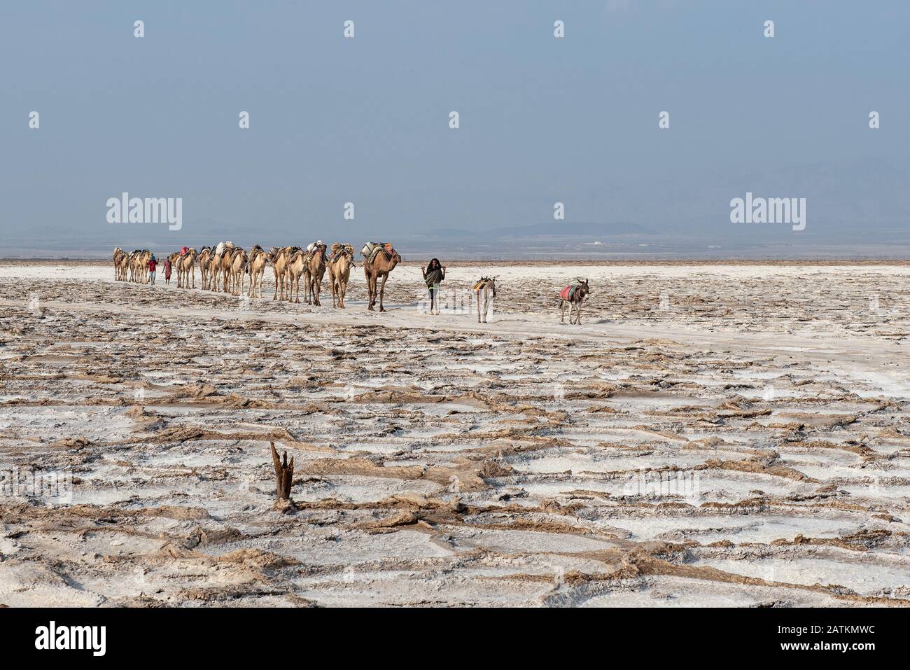 Danakil Depressione Foto Stock