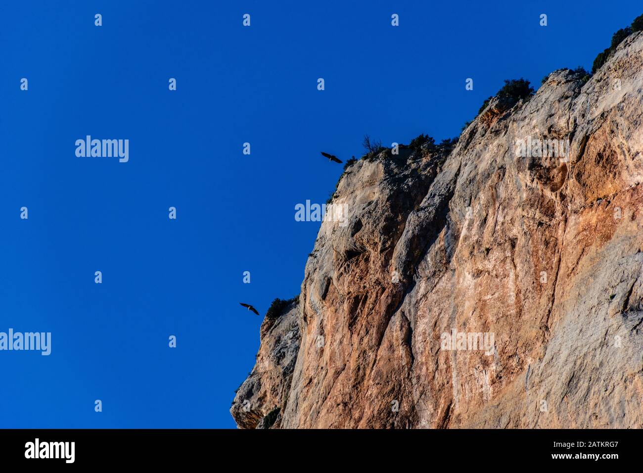 Predator uccelli che volano sulle montagne rocciose di Congost de Mont-Rebei in Spagna Foto Stock