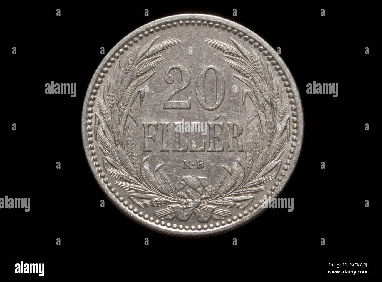 Moneta ungherese del 1893 Foto Stock