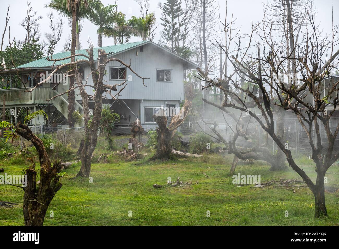 Leilani Estate, Hawaii, Stati Uniti. - 14 gennaio 2020: Devastazione in parti intatte dalla lava del 2018. Alberi morti e gas velenosi e vapori inghiottono l'abbandono Foto Stock