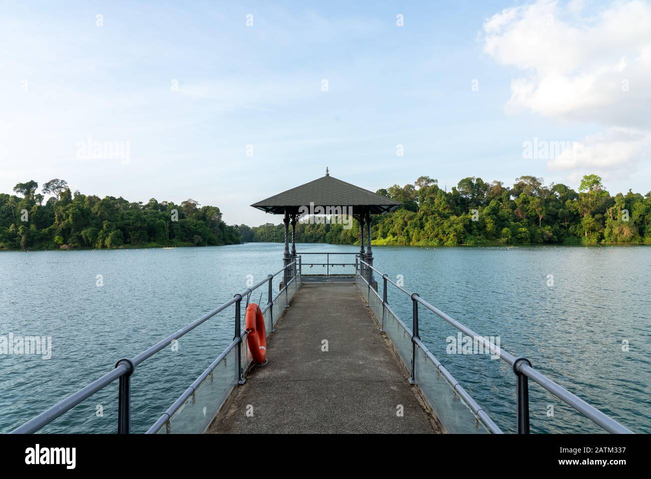Molo Presso il Macritchie Reservoir di Singapore Foto Stock