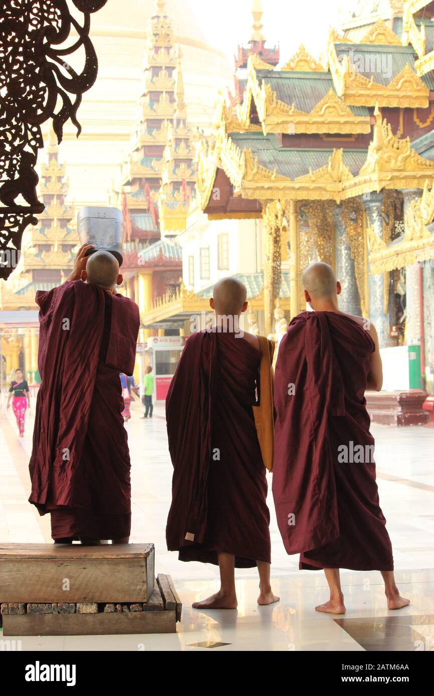 Tre monaci buddisti stanno guardando la cima della Pagoda Shwedagon Foto Stock