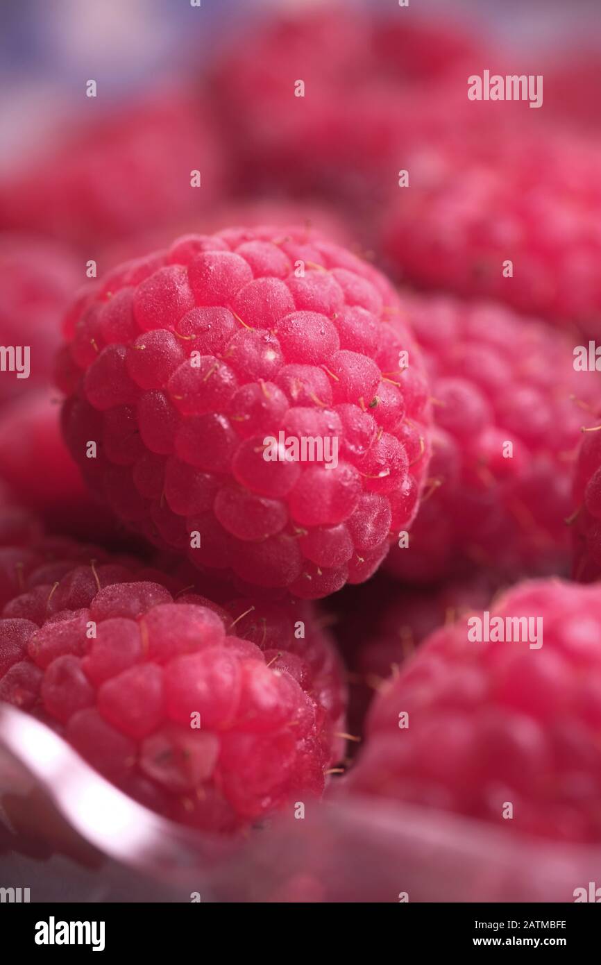 Primo piano di lampone fresco e maturo in una scatola Foto Stock