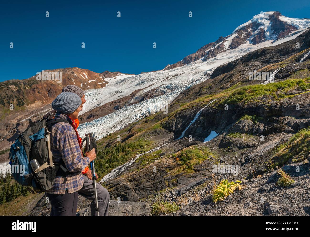 Escursionisti che guardano il vulcano di Mount Baker, i ghiacciai Roosevelt e Coleman, North Cascades, Mount Baker Wilderness, Washington state, USA Foto Stock Escursionisti che guardano il vulcano di Mount Baker, i ghiacciai Roosevelt e Coleman, North Cascades, Mount Baker Wilderness, Washington state, USA Foto Stock