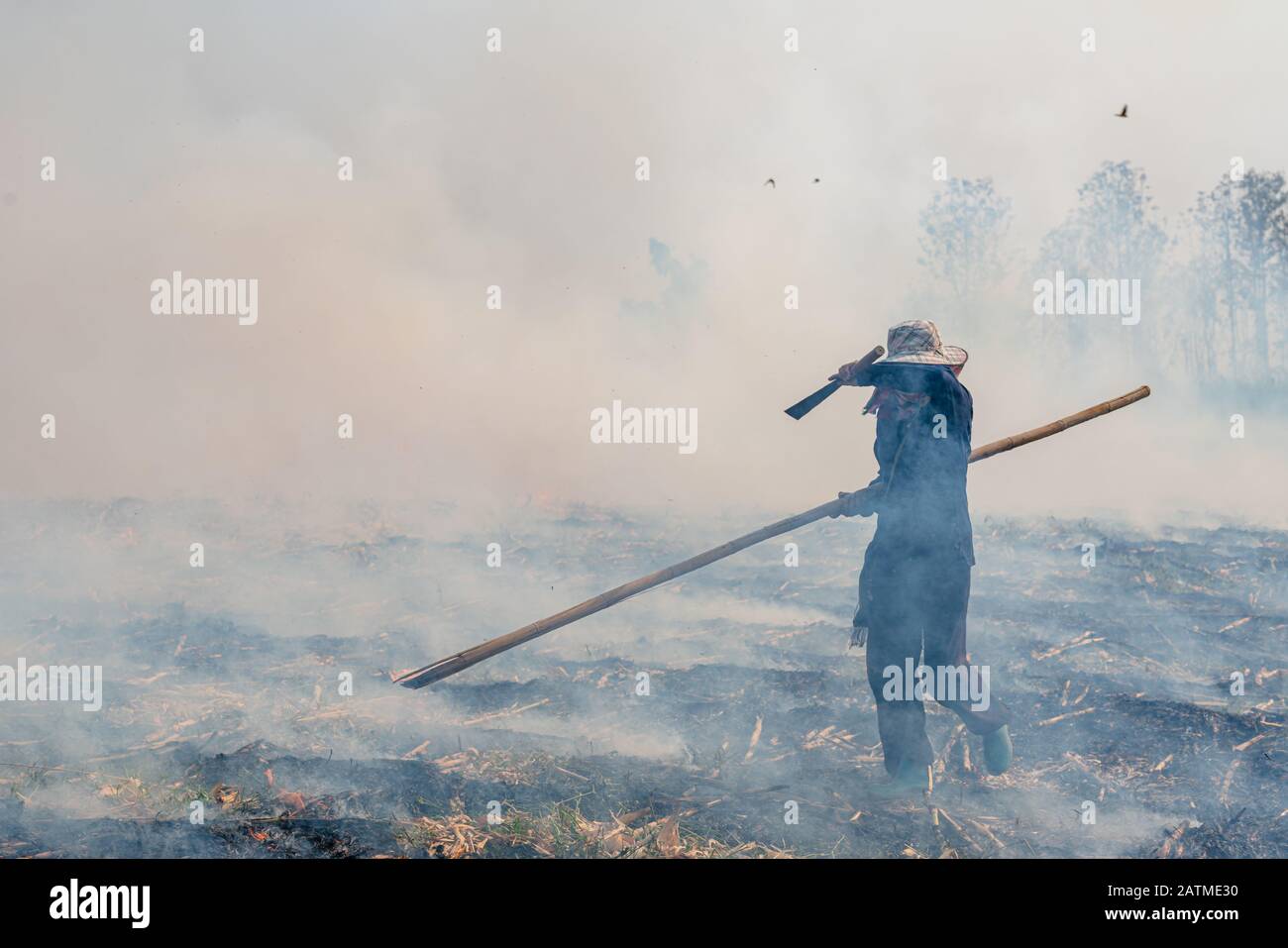 Illuminazione contadino thailandia controllato prato campo combustione. Foto Stock