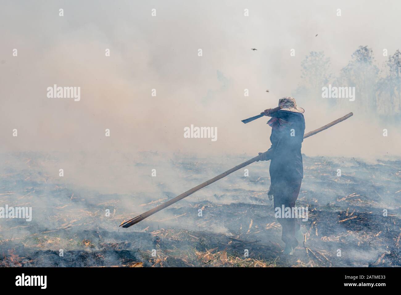 Illuminazione contadino thailandia controllato prato campo combustione. Foto Stock