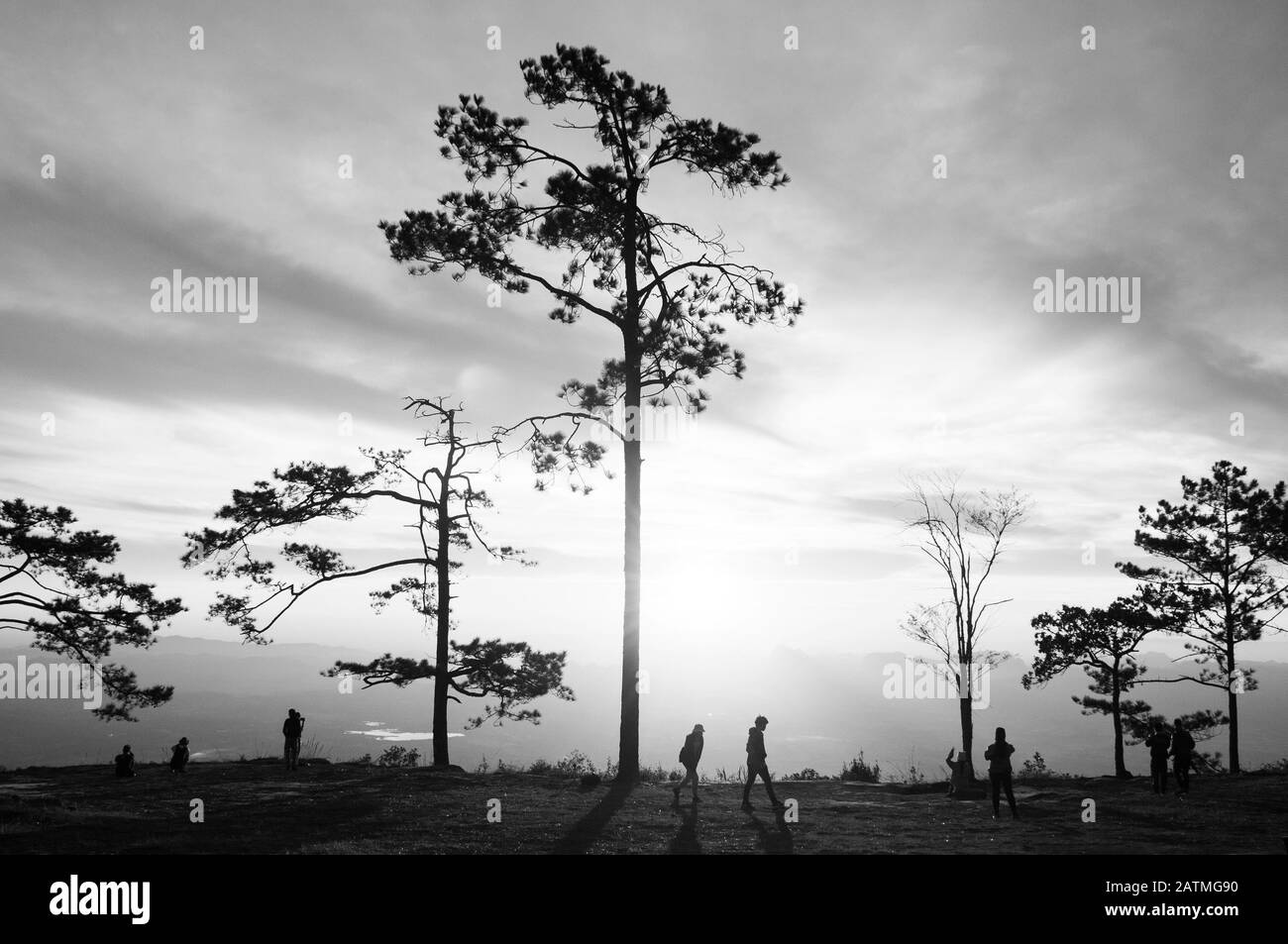 31 ottobre 2019 Loei, Thailandia - Splendida e suggestiva alba con pini silhouette e turisti a Pha Nok Una scogliera. Phu Kradueng National P Foto Stock