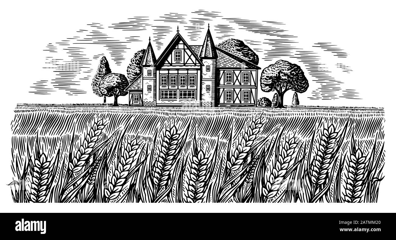 Birreria sullo sfondo di grano e orzo. Vista panoramica del paesaggio rurale, campo villaggio e collina, edificio in legno retro. Disegnato a mano in bianco e nero Illustrazione Vettoriale