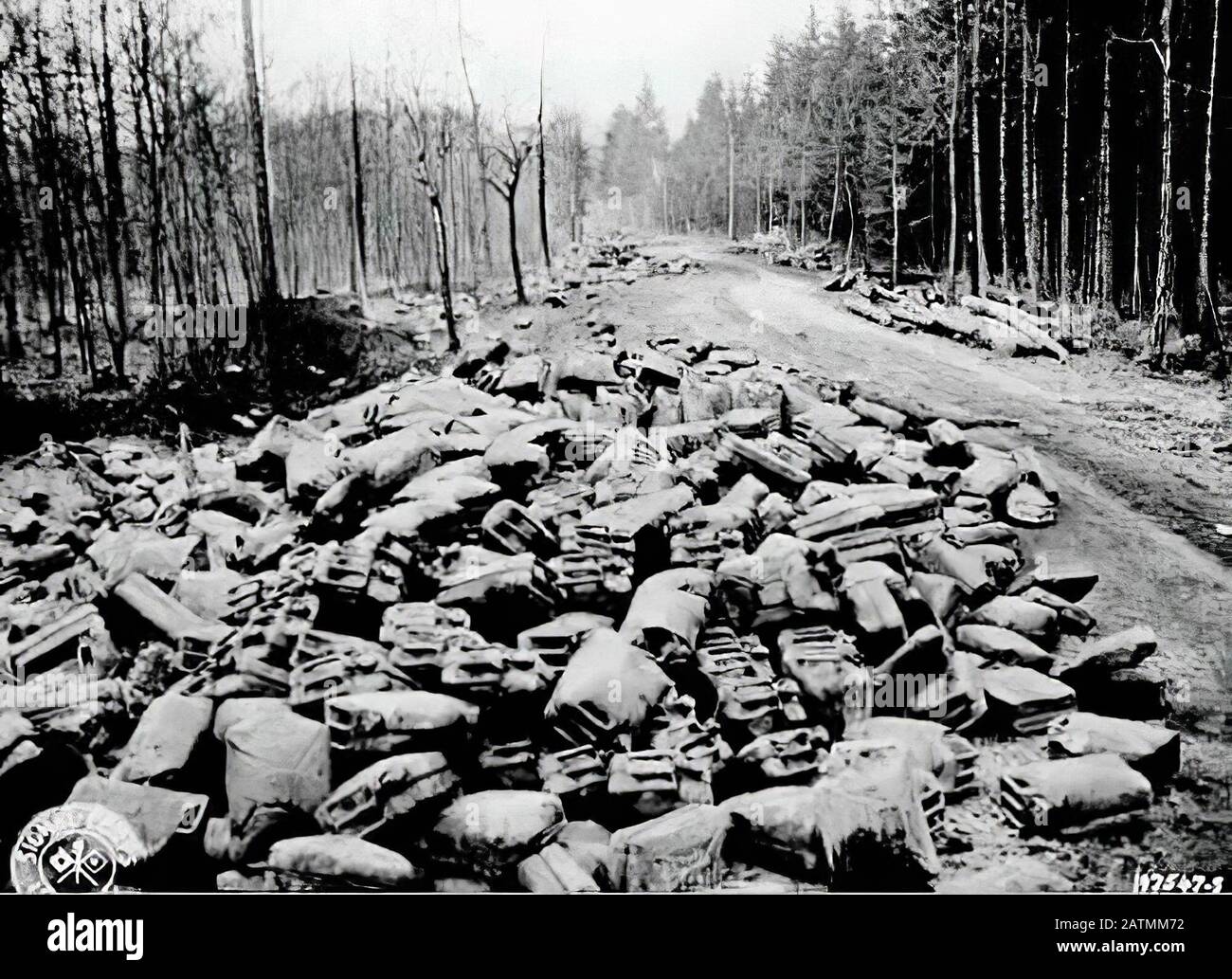 La battaglia delle Ardenne, nota anche come Controffensiva delle Ardenne, si svolse dal 16 dicembre 1944 al 25 gennaio 1945 Foto Stock