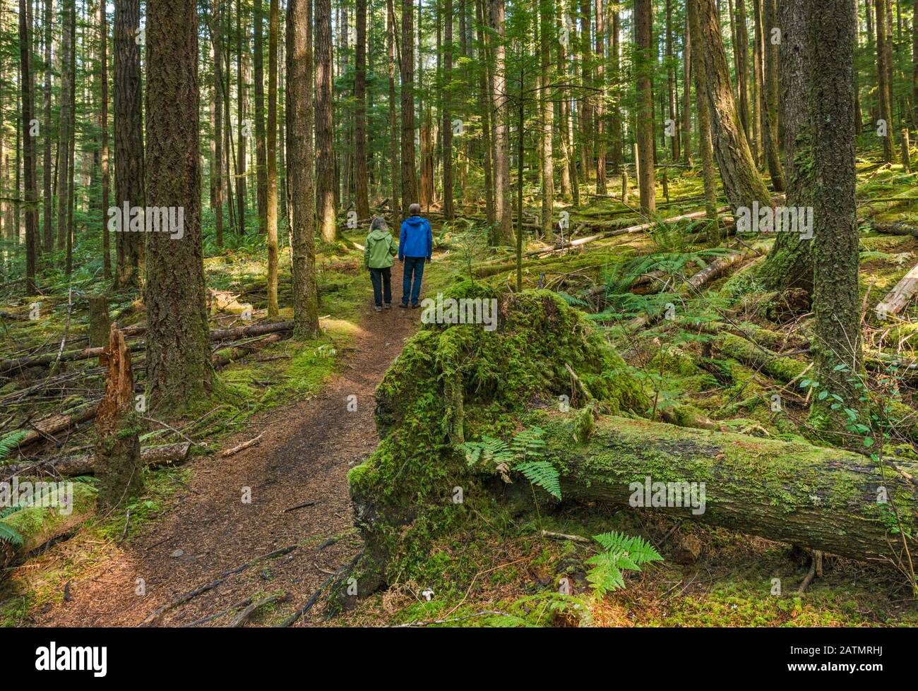 Escursionisti sul Homestead Trail, parte del Community Center Trail System, foresta pluviale temperata vicino a Quathiaski Cove, Quadra Island, British Columbia, Canada Foto Stock