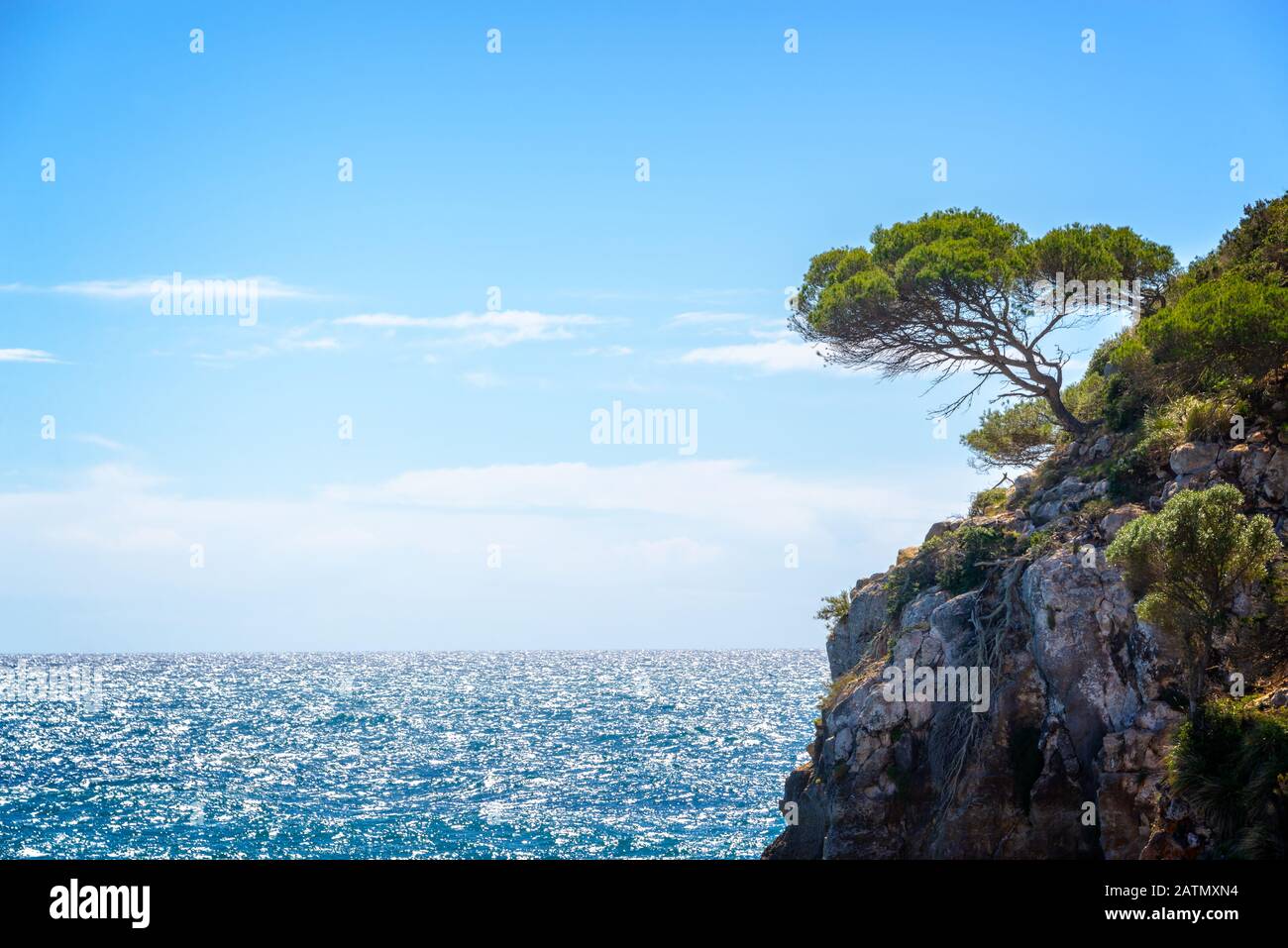 Pino su una roccia sul mare, paesaggio mediterraneo in Minorca isole Baleari, Spagna Foto Stock