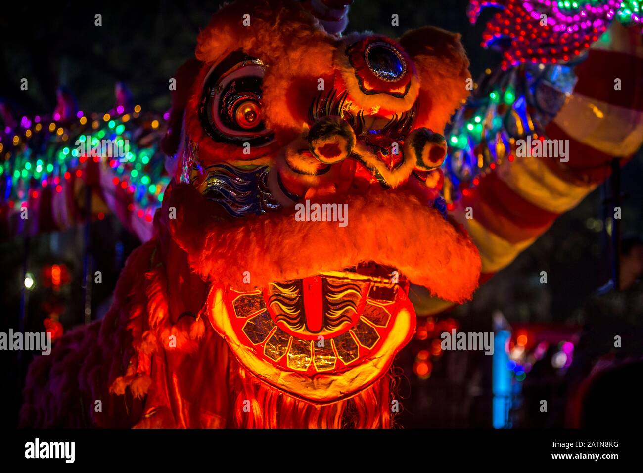 Drago cinese durante il Capodanno cinese Foto Stock