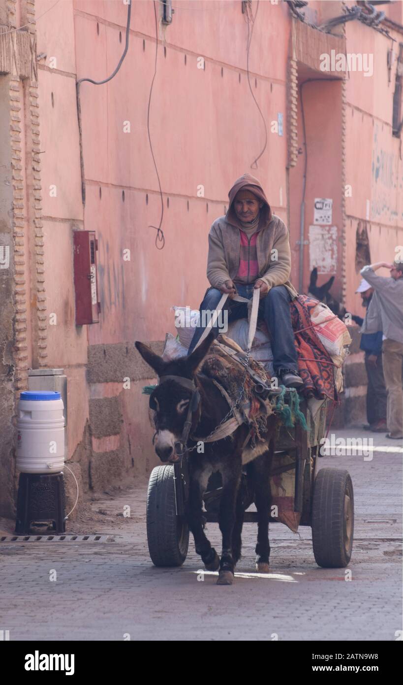 Un uomo marocchino che guida il suo carrello asino pieno di tappeti e tappeti per la vendita nel souk di Marrakech Foto Stock