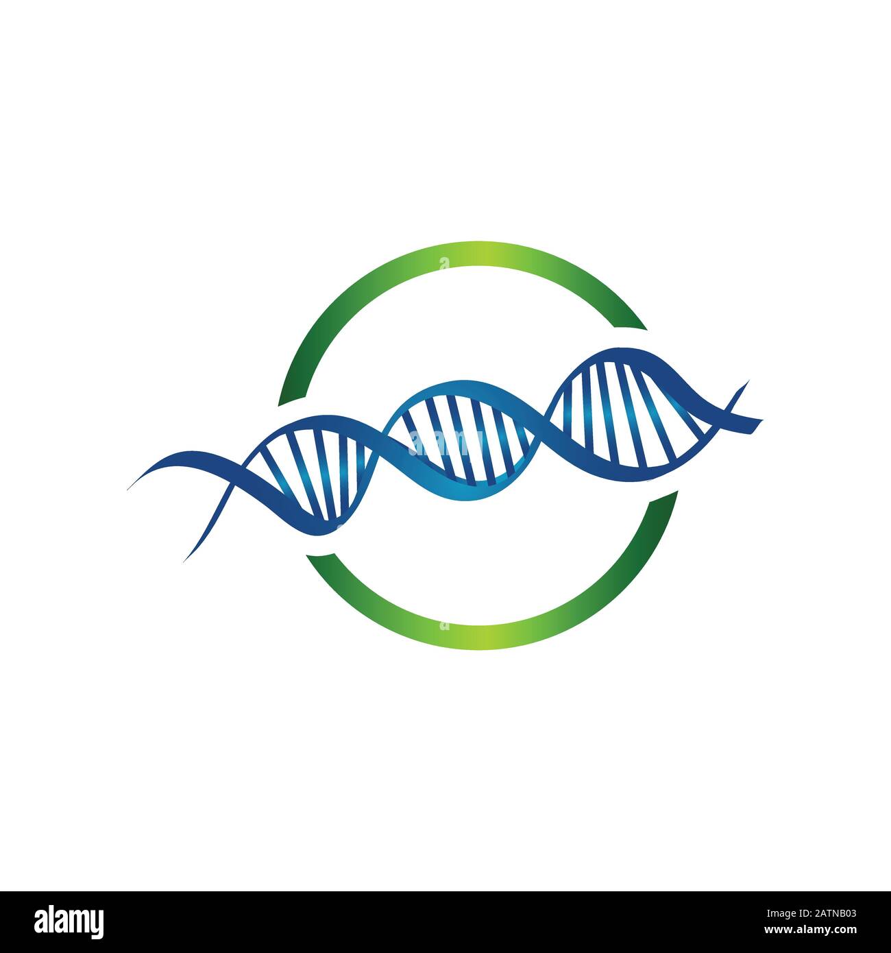Helix tecnologia umana ricerca molecola e cromosoma medico e farmaceutico vettore simboli Illustrazione Vettoriale