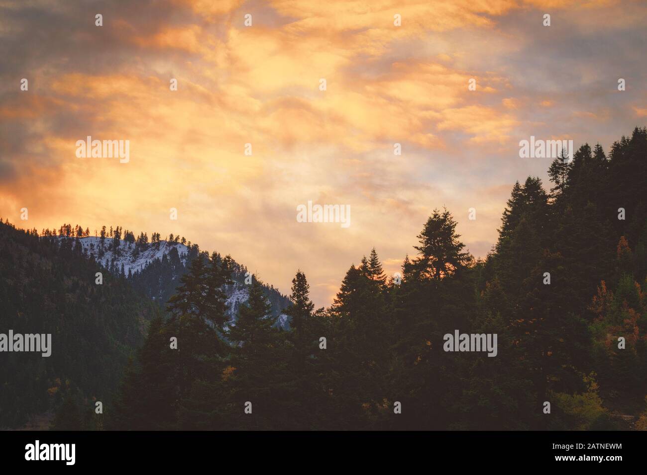 Alba ardente che ha avuto luogo su una silhouette di una foresta con abeti sui Monti Agrafa Foto Stock