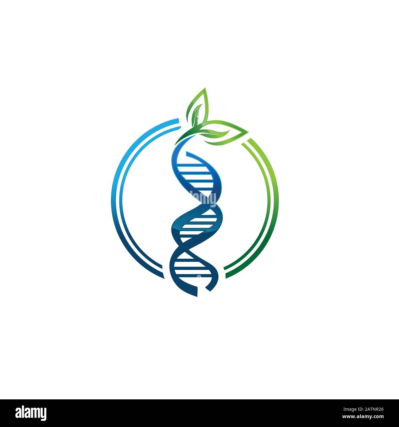 Illustrazione vettoriale di un Double Helix DNA Strand Illustrazione Vettoriale
