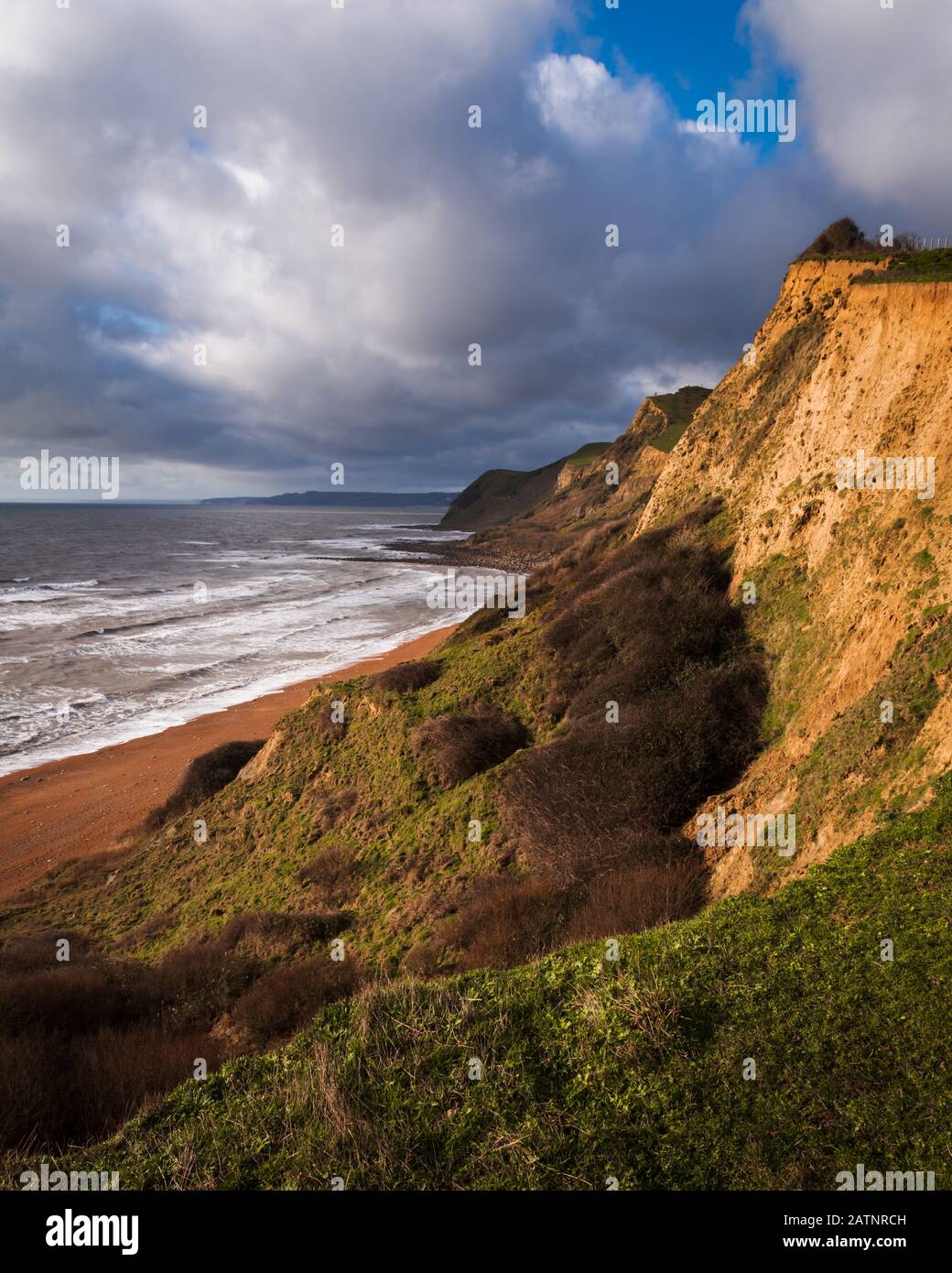 Le scogliere della costa Dorset Foto Stock