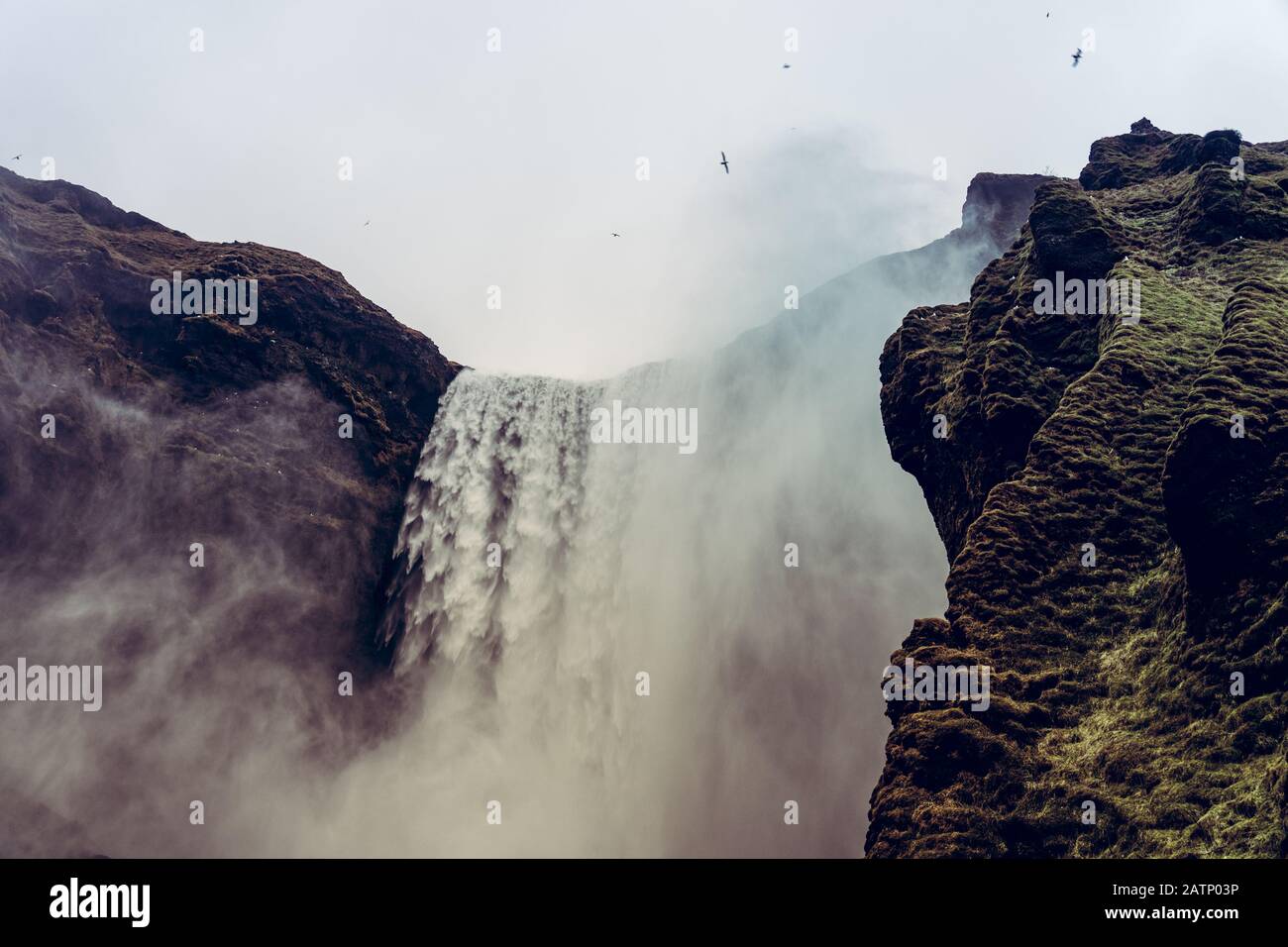 Chiudete la maestosa cascata skogafoss in Islanda, periodo invernale Foto Stock