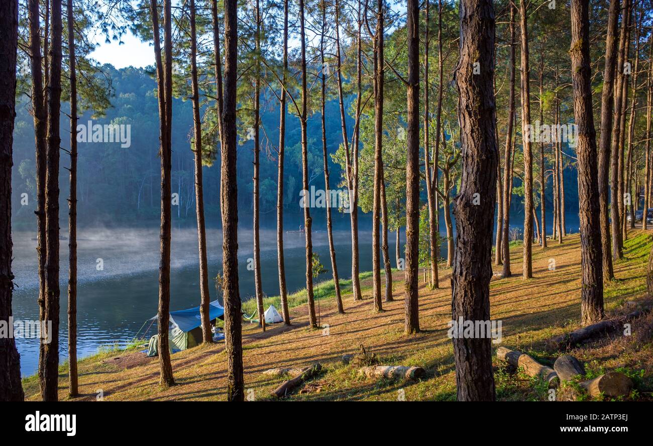 Alberi e lago acqua chiara wir riflessione, pineta, Pang Oung Roum, a nord della Thailandia Foto Stock