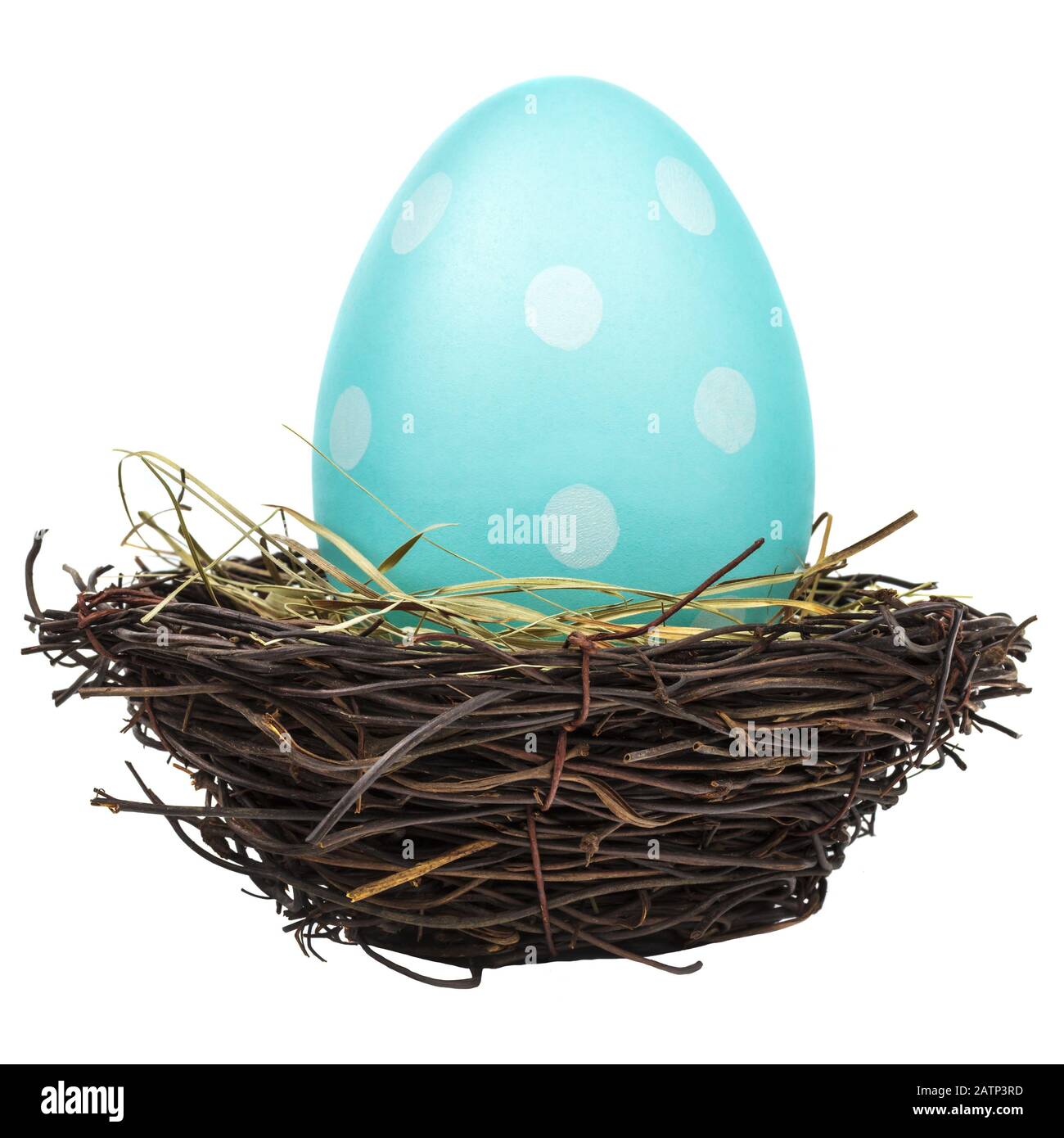 Blu tinto grande uovo di pasqua in un nido di uccello isolato su uno sfondo bianco Foto Stock