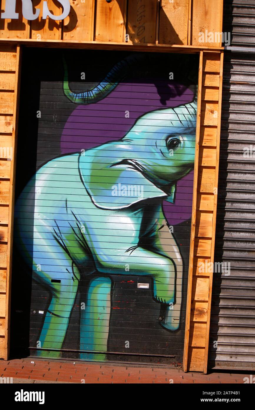 Affità: Elefant, Belfast, Nordirland/Irlanda del Nord (nur fuer redaktionelle Verwendung. Barile Werbung. Referenzdatenbank: http://www.360-berlin. Foto Stock