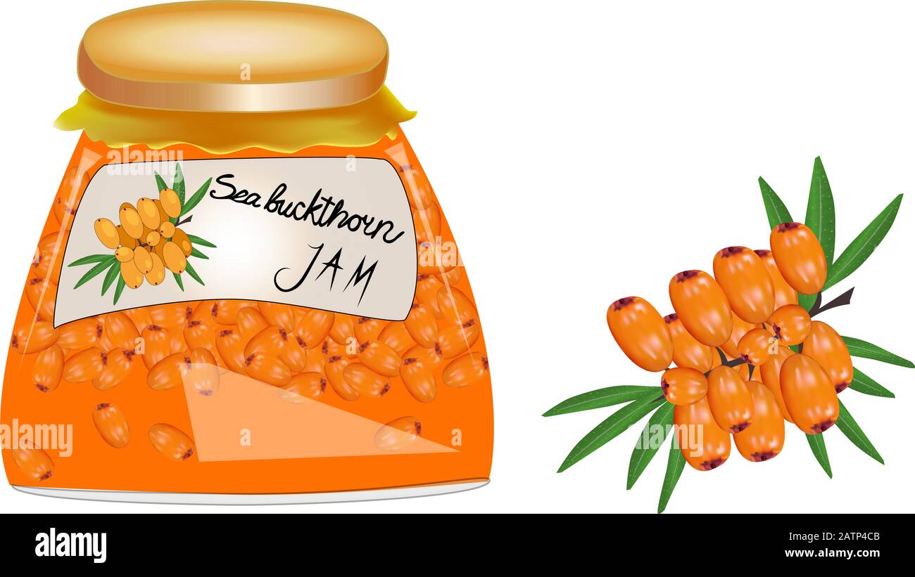 Vaso di vetro con marmellata preservata isolato su sfondo bianco.Jam in un vaso, fatto di maturo sea​​ buckthorn. Bacche fresche con foglie. Etichetta per JAM.Vector Illustrazione Vettoriale