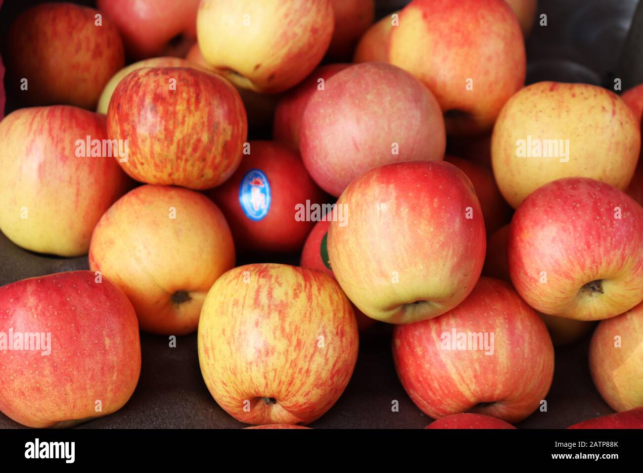 Mele. Un sacco di mele in un negozio di frutta Foto Stock