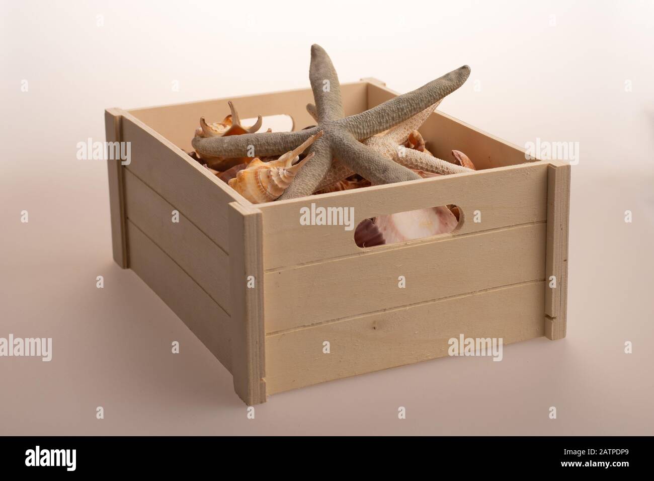 Scatola in legno con conchiglie su sfondo bianco. Tesori di mare in una scatola. Stelle marine con conchiglie. Foto Stock