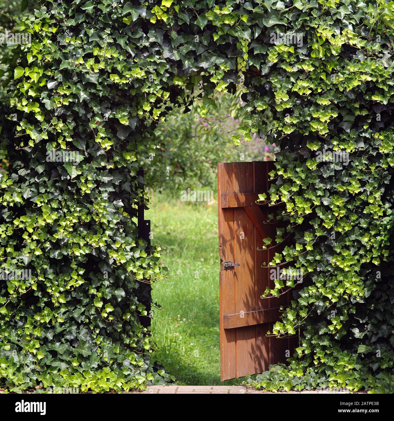 Cancello aperto giardino con arcate di edera Foto Stock