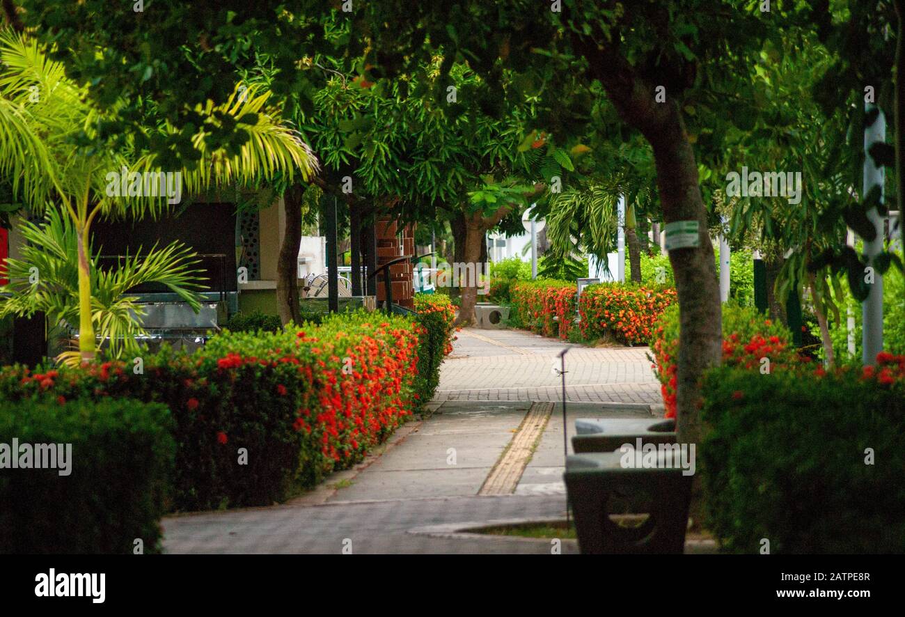 parque natural en la ciudad Foto Stock