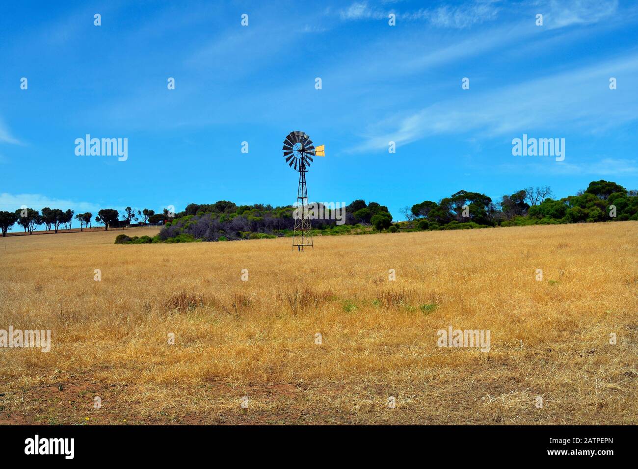 Australia, campo con ruota eolica in Australia Occidentale Foto Stock