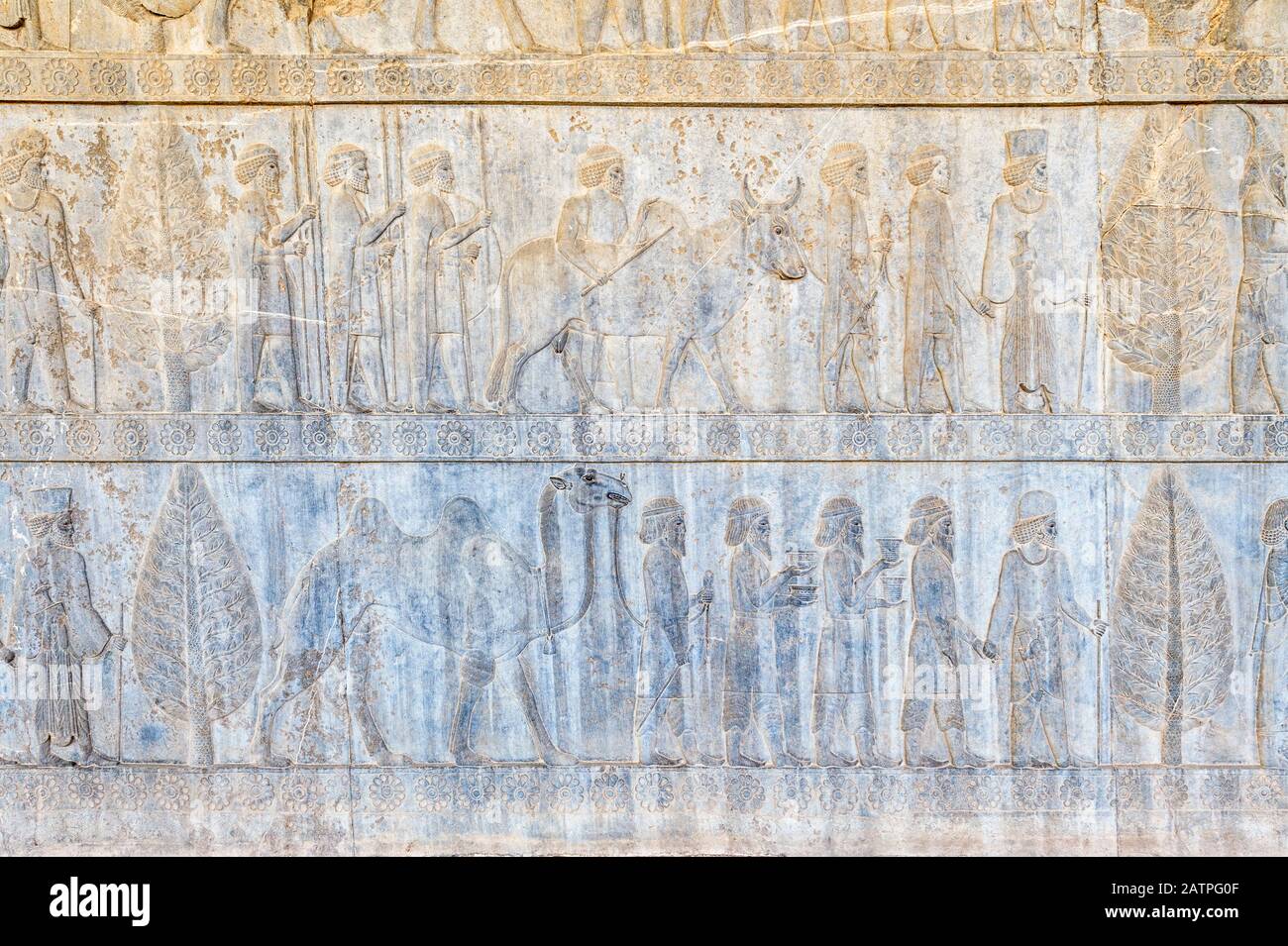 Persepolis, Apadana scalinata facciata, antico rilievo della Achaemenids, medi e dei Persiani, far Provincia, Repubblica Islamica di Iran Foto Stock