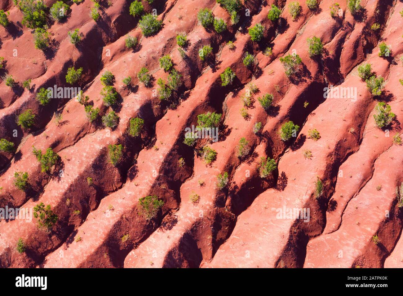 Terrazzato eroso montagna, arbusti su terra rossa, vicino Agulo, fotografia di fuco, la Gomera, Isole Canarie, Spagna Foto Stock