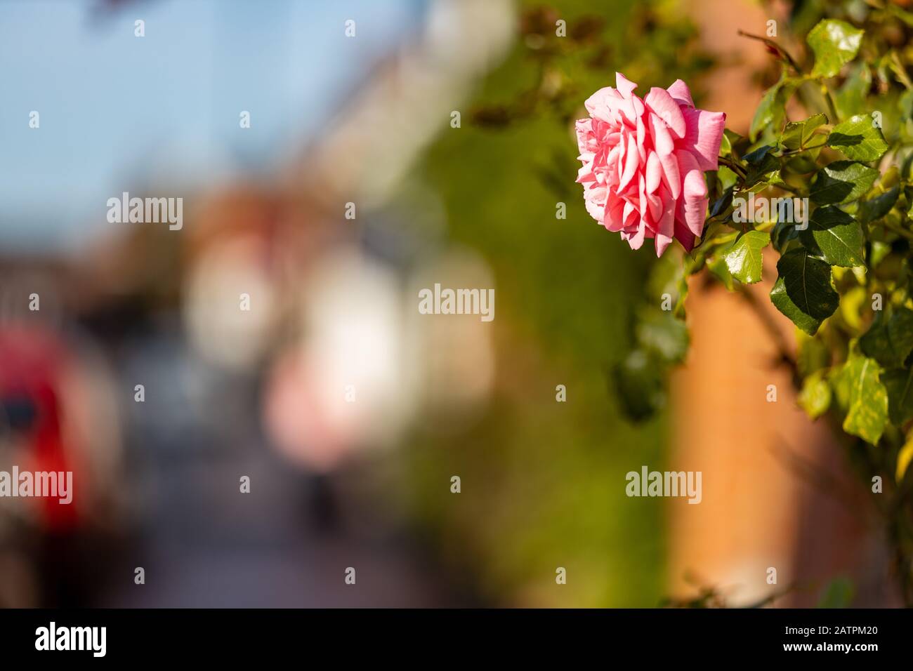 Reading & Woking Location Shoot, Inghilterra Regno Unito Foto Stock
