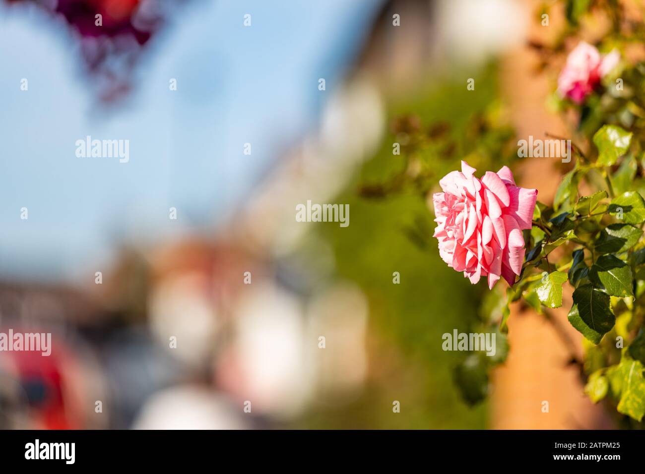 Reading & Woking Location Shoot, Inghilterra Regno Unito Foto Stock