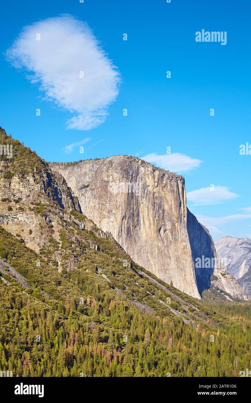 Formazione di roccia El Capitan nel Parco Nazionale di Yosemite in una giornata di sole, California, Stati Uniti. Foto Stock