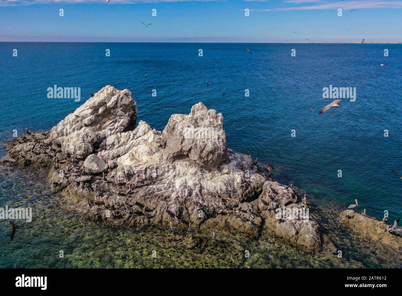 Isolotti, isola sulla spiaggia di Coyudo. Terreno stabile pieno di guano. Isoletta è una piccola isola: Cayo, Faralló Islette, Isola, acqua di mare, circondata, corpo d'acqua, vista aera, vista aera, turchese, verde, blu, colore turquesa, colore verde, colore azul . islotes, isla en playa el Choyudo. Zona terrestre estable plagada de guano. Islote es una pequeña isla: Cayo, faralló islette, isola , agua de mar, rodeada, masa de agua, (Photo:LuisGutierrez) Foto Stock