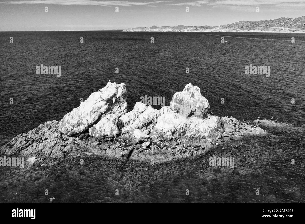 Isolotti, isola sulla spiaggia di Coyudo. Terreno stabile pieno di guano. Isoletta è una piccola isola: Cayo, Faralló Islette, Isola, acqua di mare, circondata, corpo d'acqua, vista aera, vista aera, turchese, verde, blu, colore turquesa, colore verde, colore azul . islotes, isla en playa el Choyudo. Zona terrestre estable plagada de guano. Islote es una pequeña isla: Cayo, faralló islette, isola , agua de mar, rodeada, masa de agua, (Photo:LuisGutierrez) Foto Stock