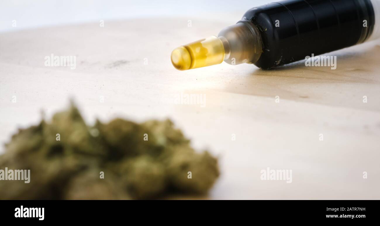 CBD Paste in una siringa di olio di Cannabis con Germogli di marijuana. Medicina Alternativa Con Canapa Foto Stock