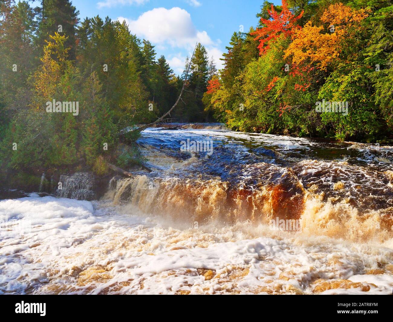 Lower Tahquamenon Falls, Tahquamenon Falls State Park, Upper Penninsula, Paradise, Michigan, Stati Uniti Foto Stock