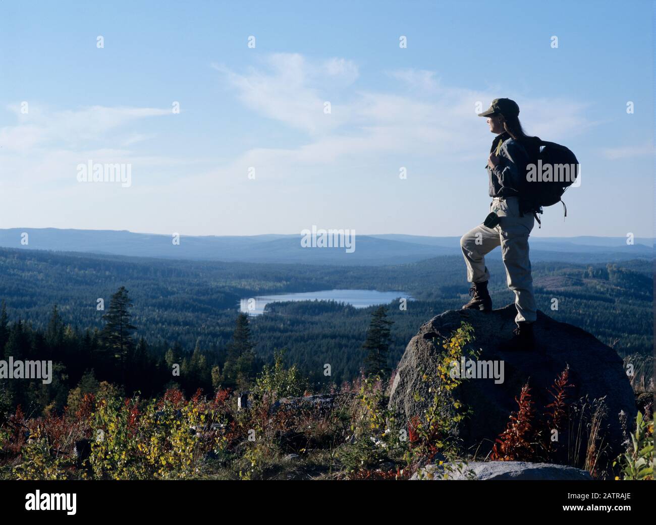 Gli escursionisti guardano verso la foresta e la montagna Foto Stock