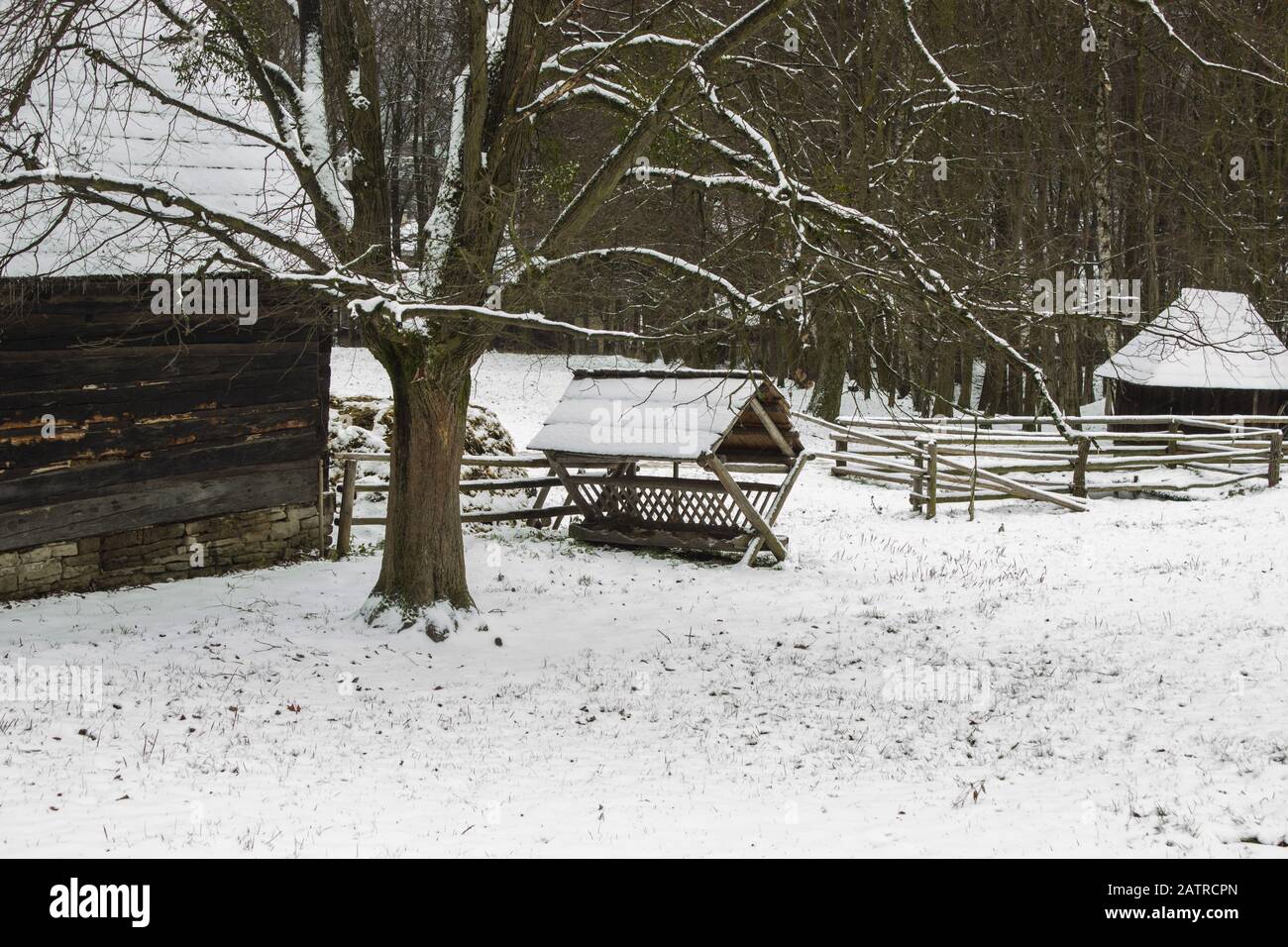 Alimentatore per animali in paesaggio innevato a roznov pod radhostem in repubblica ceca Foto Stock