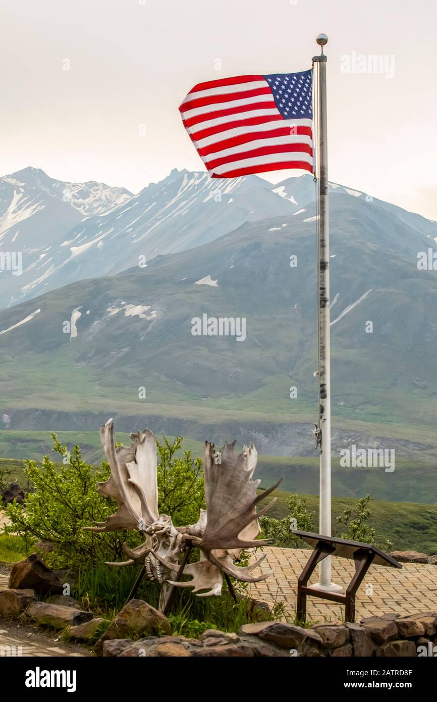 La bandiera americana fioca al Centro visitatori Eielson. Inoltre visto è un insieme raro di 2 corna alce toro bloccate insieme (i tori probabilmente sono morti come... Foto Stock