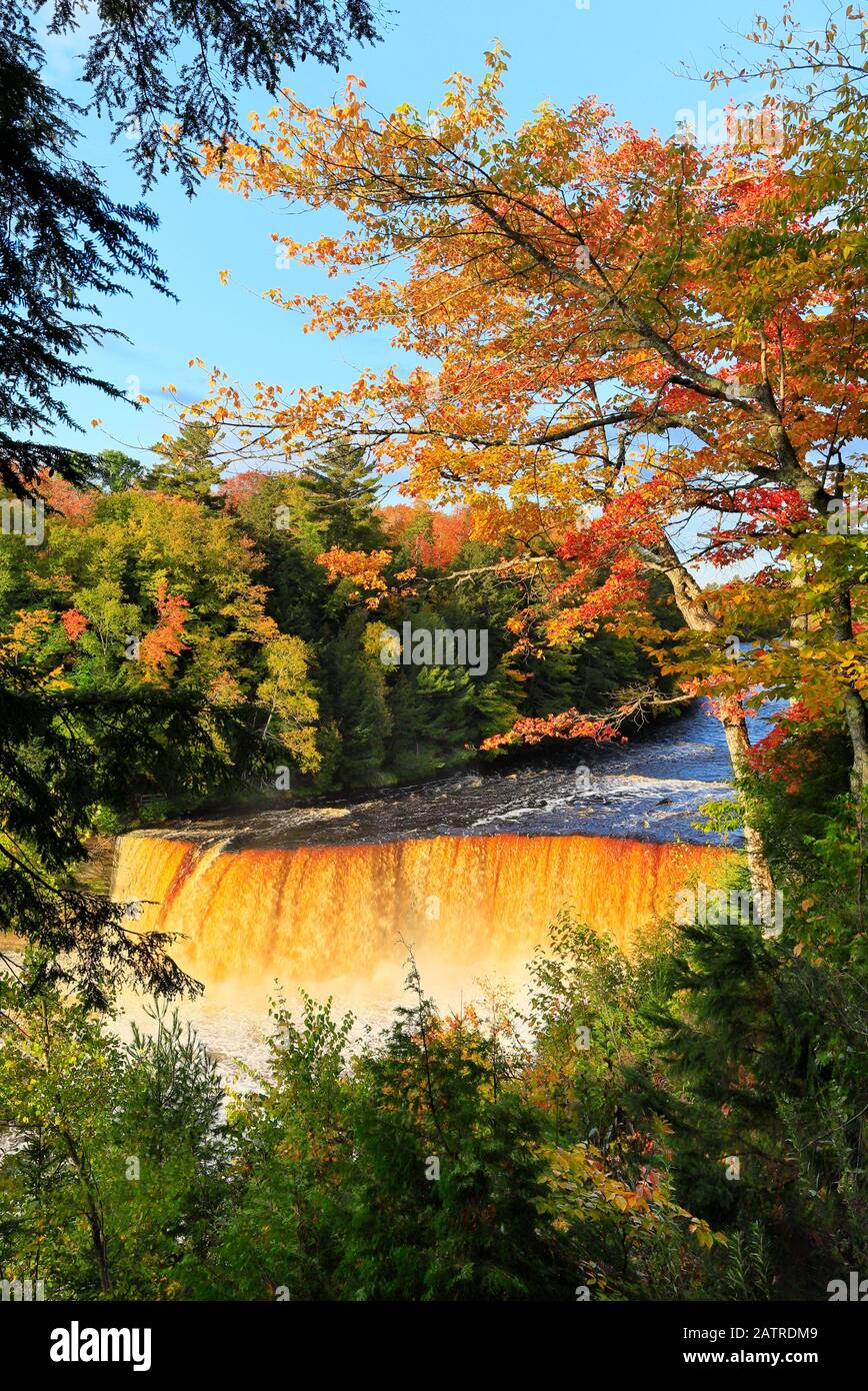 Tahquamenon Falls, Tahquamenon Falls State Park, Superiore Penninsula, Paradise, Michigan, Stati Uniti d'America Foto Stock