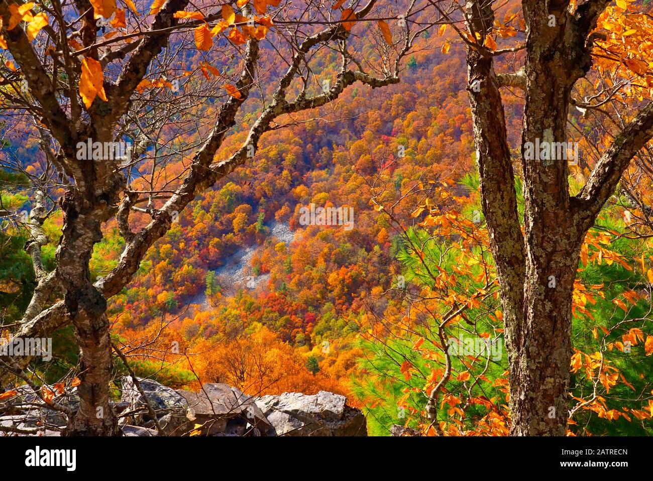 Vista Dall'Appalachian Trail, Blackrock Mountain, Shenandoah National Park, Virginia, Stati Uniti Foto Stock