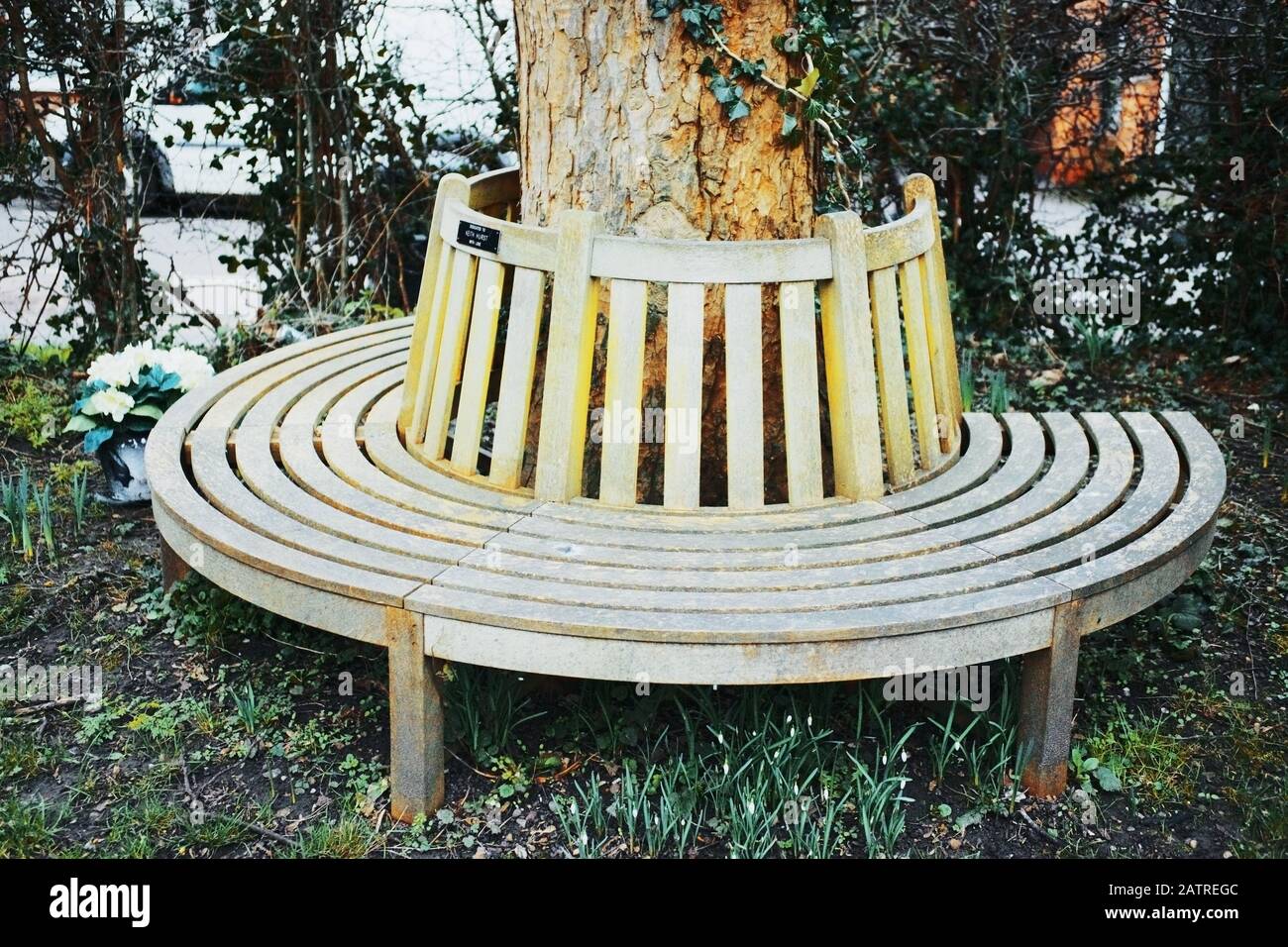 church yard henley ad arden warwickshire inghilterra regno unito Foto Stock