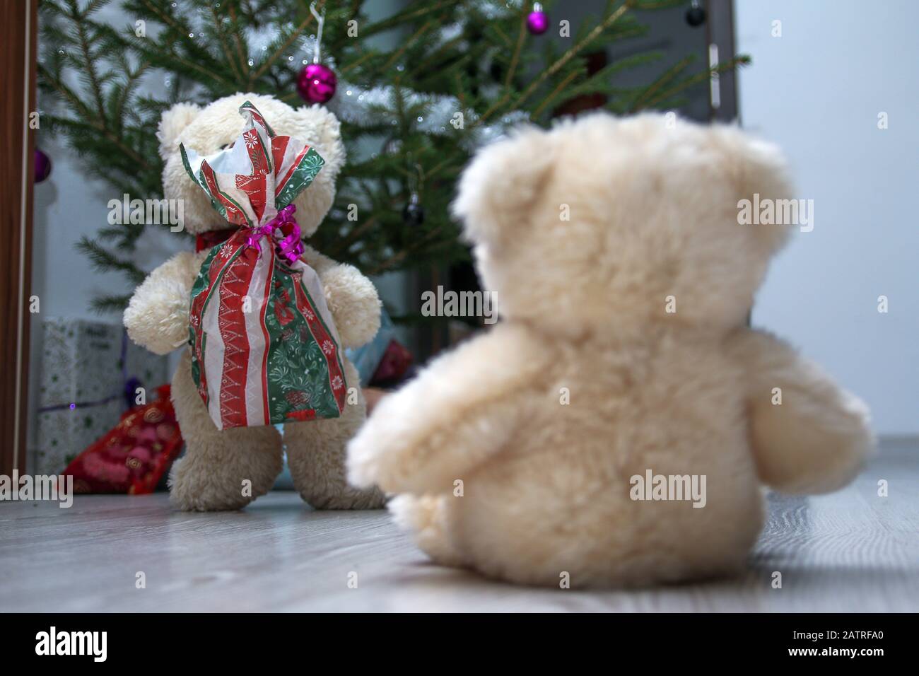 Due orsacchiotti carino sono seduti accanto all'albero di natale. Uno sta tenendo il regalo di natale e dandolo all'altro. Foto Stock