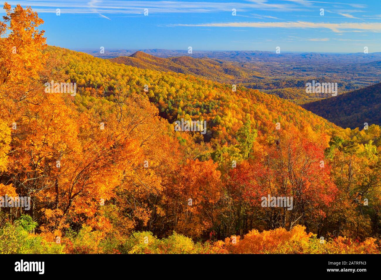 Ivy Creek Overlook, Appalachian Trail, Shenandoah National Park, Virginia, Stati Uniti Foto Stock