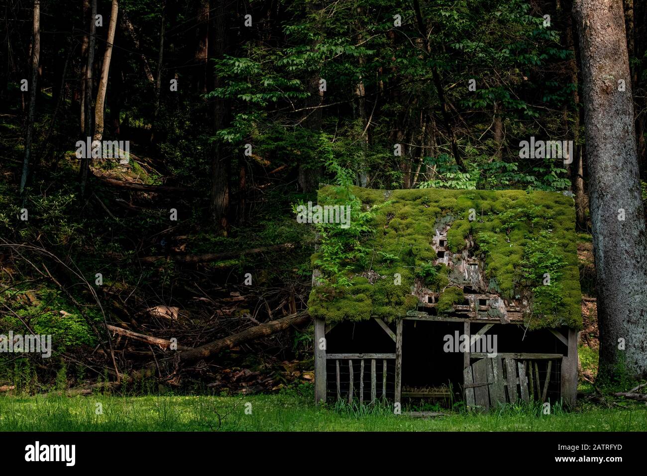 Fissaggio Leggero Superiore Foto Stock
