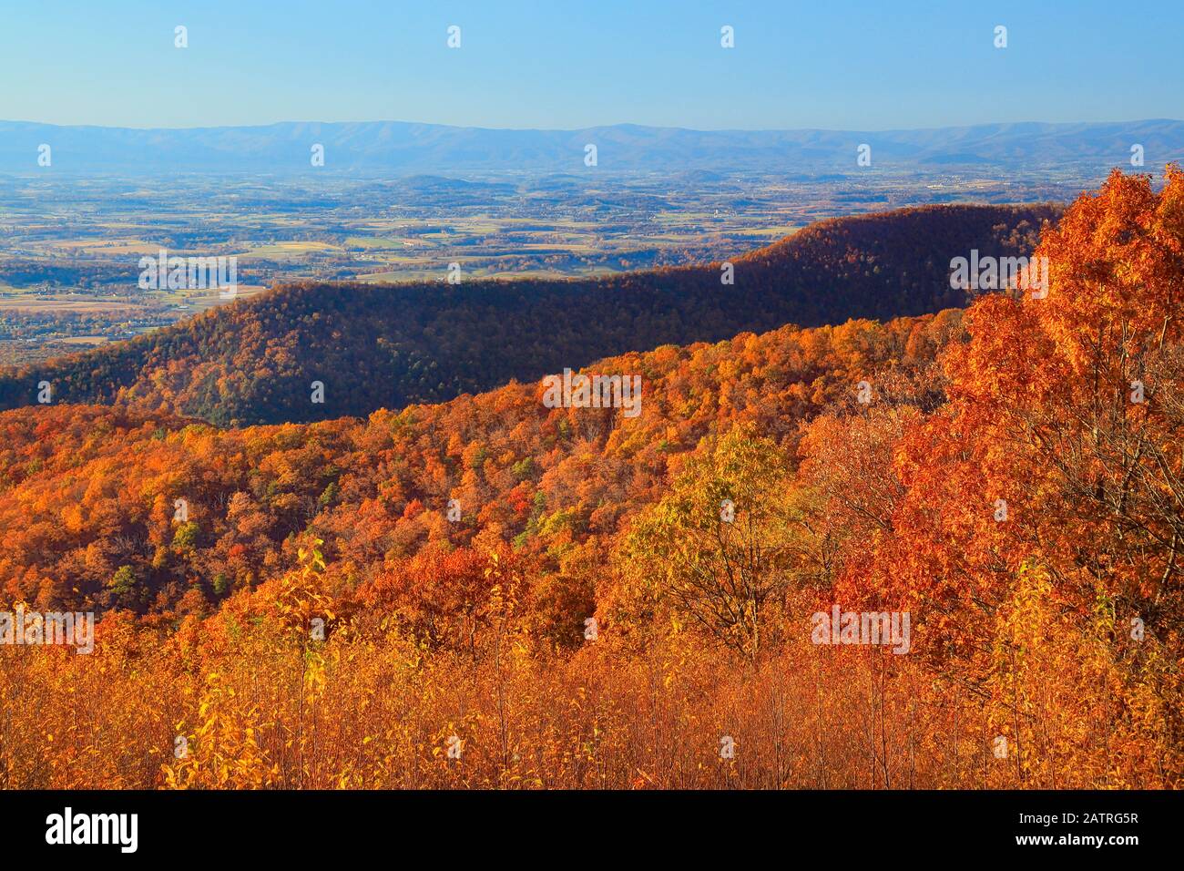 Crimora Overlook, Shenandoah National Park, Virginia, Stati Uniti Foto Stock